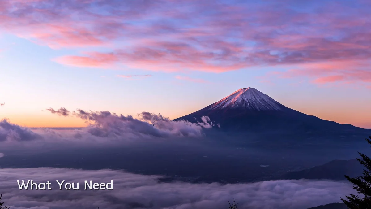 What You Need