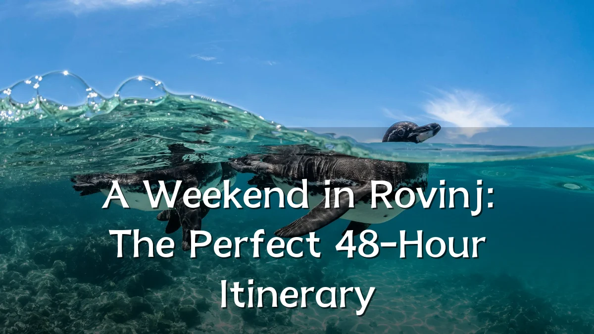 A Weekend in Rovinj: The Perfect 48-Hour Itinerary