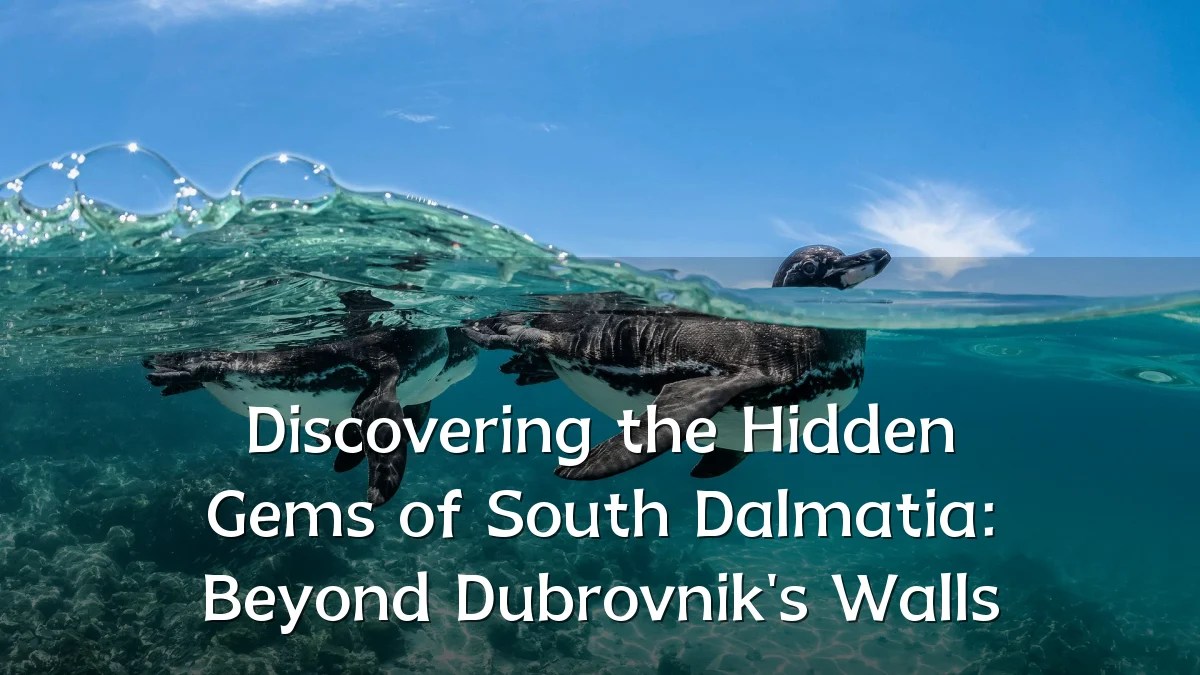 Discovering the Hidden Gems of South Dalmatia: Beyond Dubrovnik's Walls