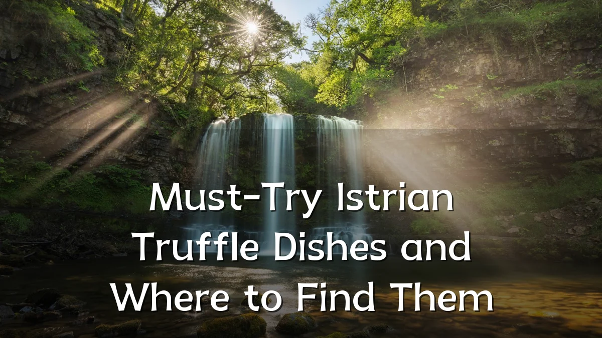 Must-Try Istrian Truffle Dishes and Where to Find Them