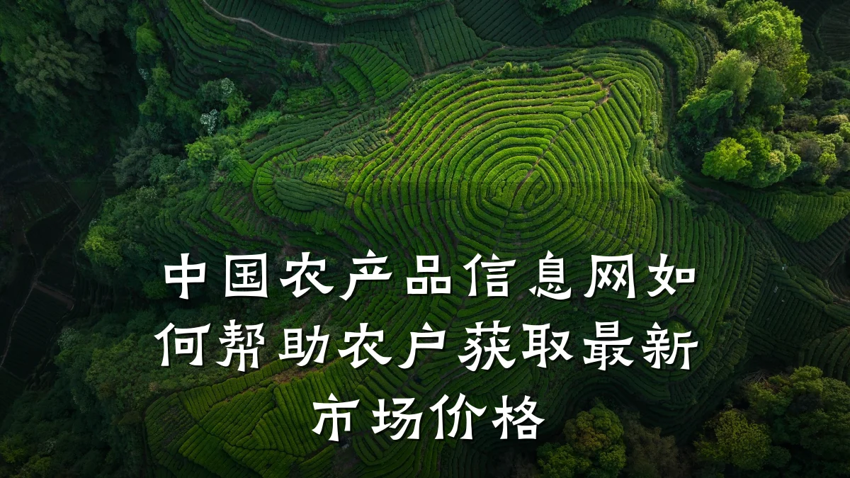 中国农产品信息网如何帮助农户获取最新市场价格
