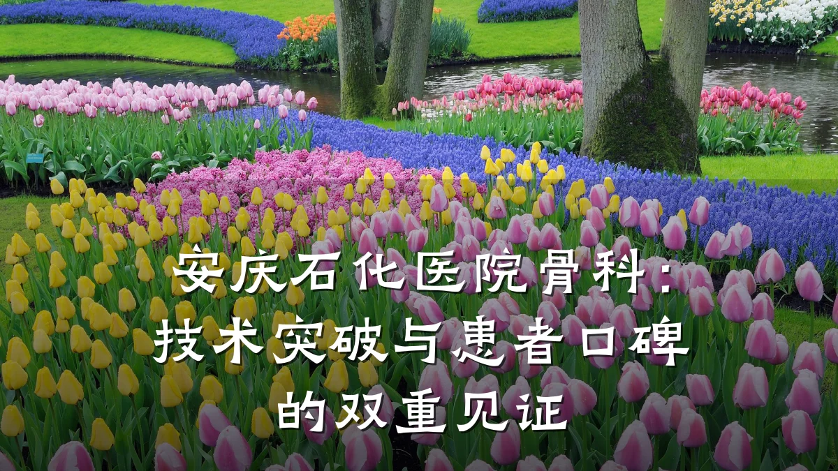 安庆石化医院骨科：技术突破与患者口碑的双重见证