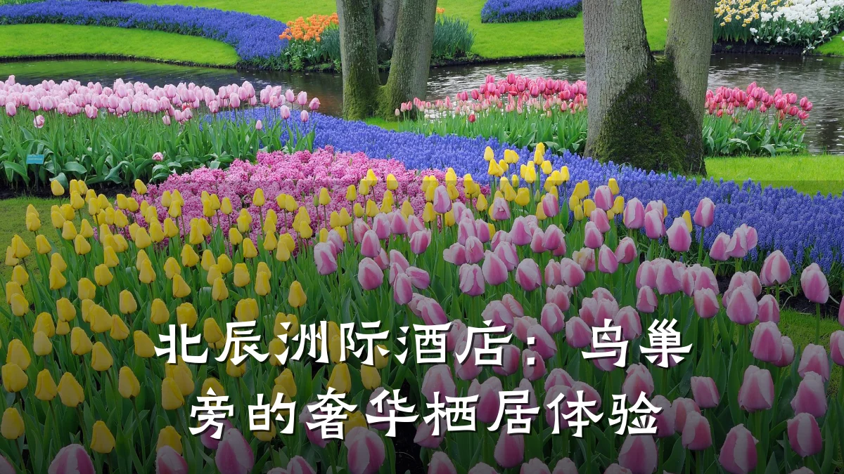 北辰洲际酒店:鸟巢旁的奢华栖居体验