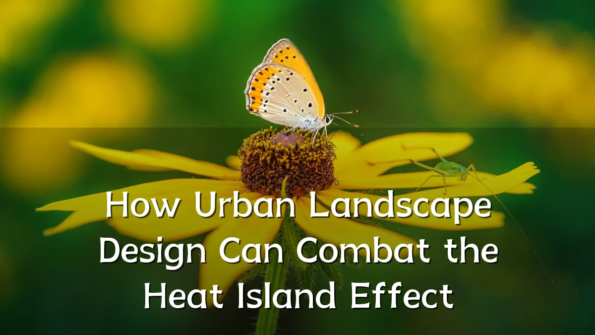 How Urban Landscape Design Can Combat the Heat Island Effect