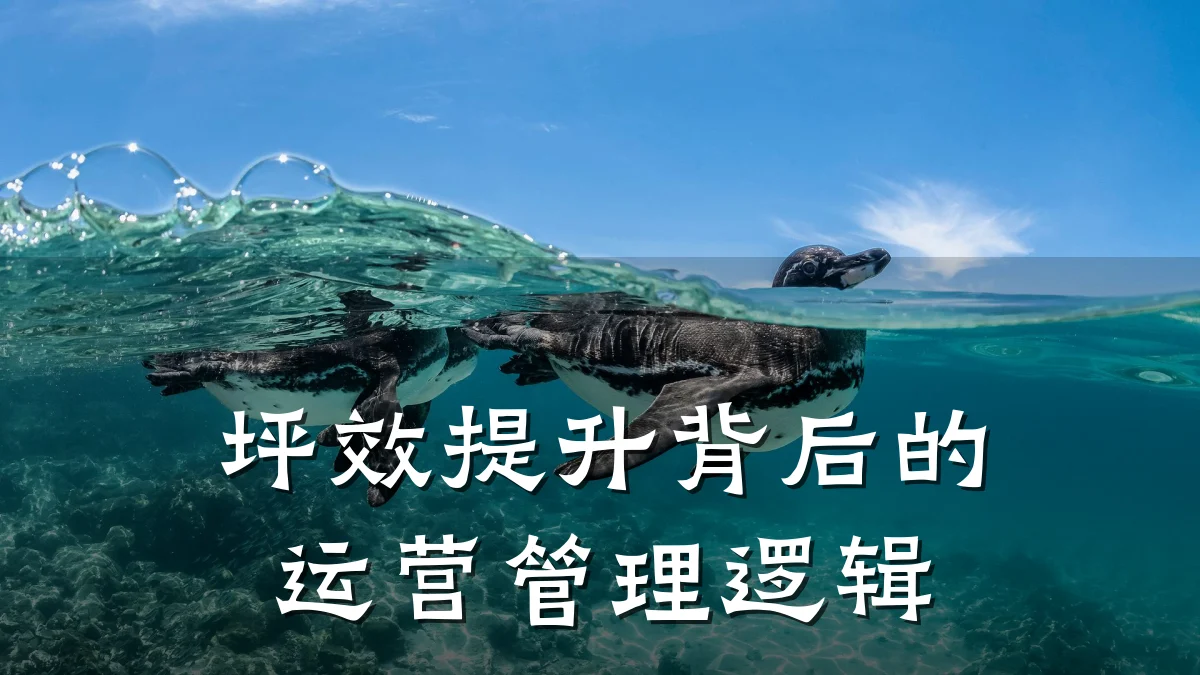 坪效提升背后的运营管理逻辑