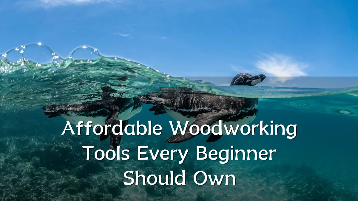 Affordable Woodworking Tools Every Beginner Should Own