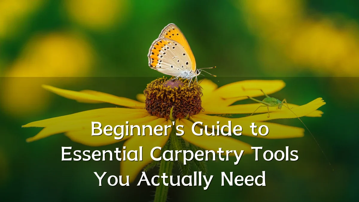 Beginner's Guide to Essential Carpentry Tools You Actually Need