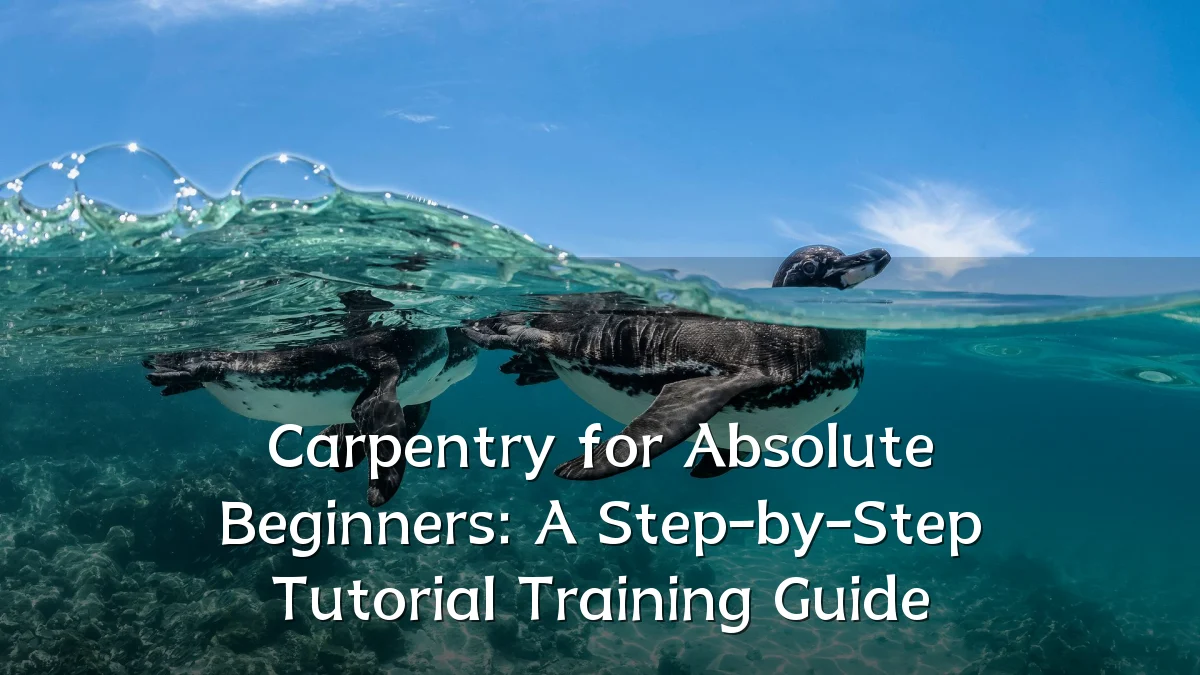 Carpentry for Absolute Beginners: A Step-by-Step Tutorial Training Guide