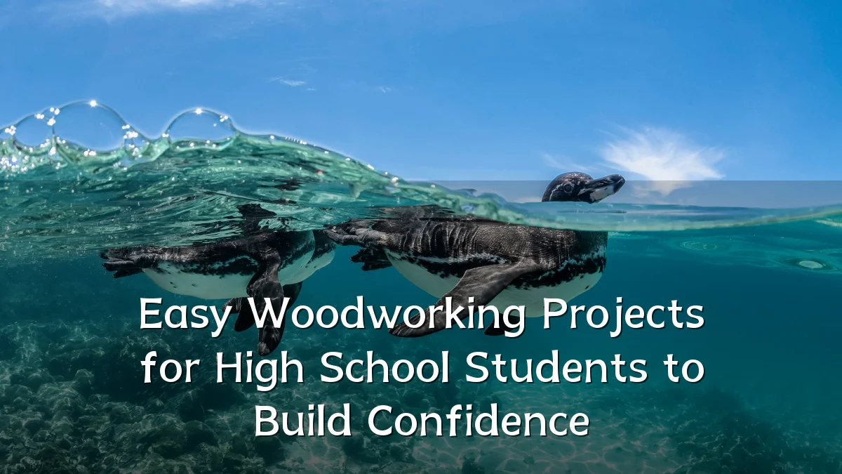 Easy Woodworking Projects for High School Students to Build Confidence