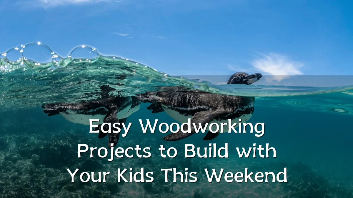 Easy Woodworking Projects to Build with Your Kids This Weekend