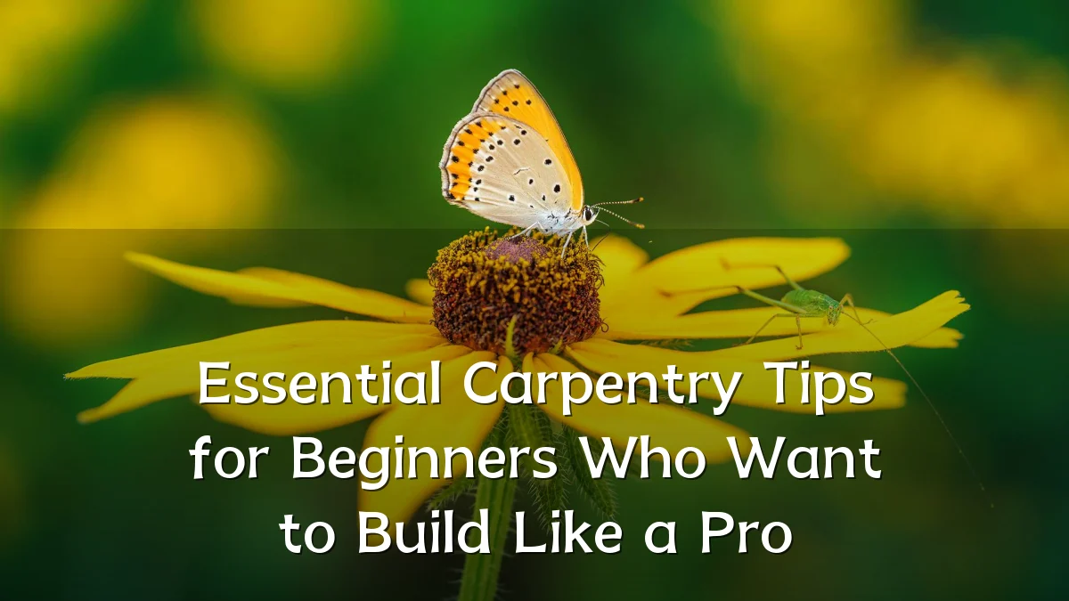 Essential Carpentry Tips for Beginners Who Want to Build Like a Pro