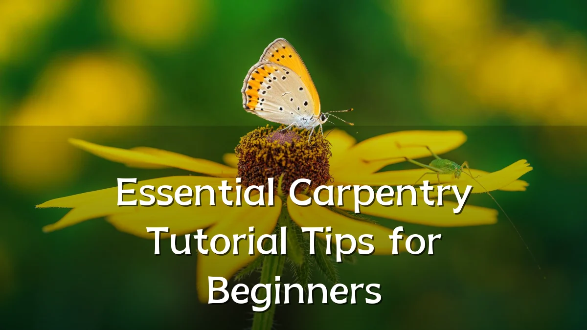Essential Carpentry Tutorial Tips for Beginners