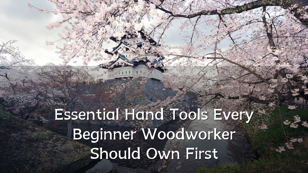 Essential Hand Tools Every Beginner Woodworker Should Own First