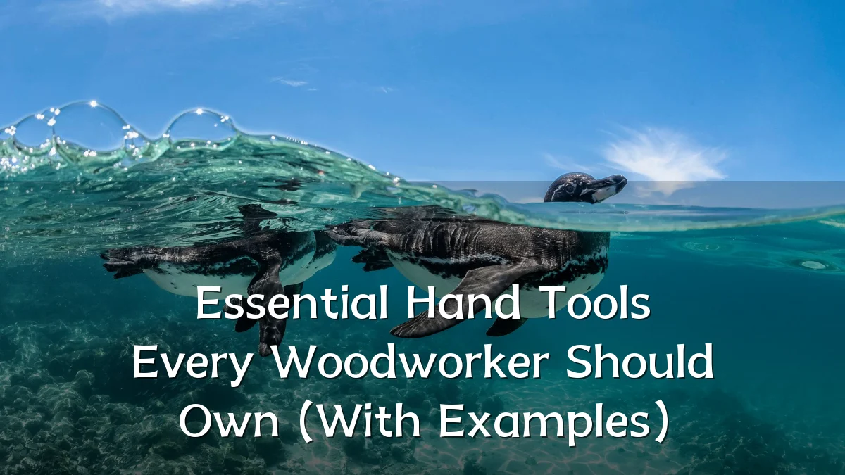 Essential Hand Tools Every Woodworker Should Own (With Examples)