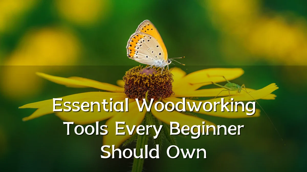 Essential Woodworking Tools Every Beginner Should Own