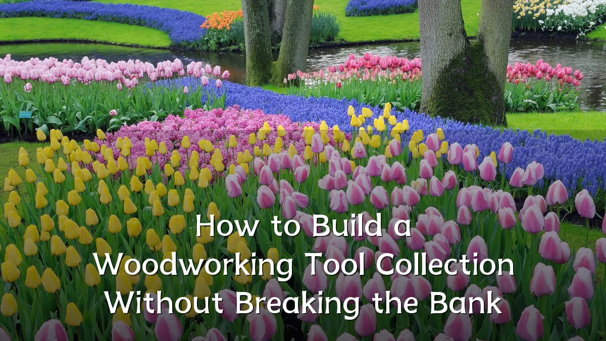 How to Build a Woodworking Tool Collection Without Breaking the Bank