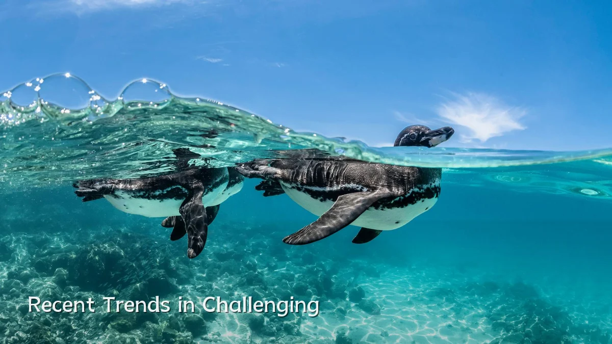 Recent Trends in Challenging