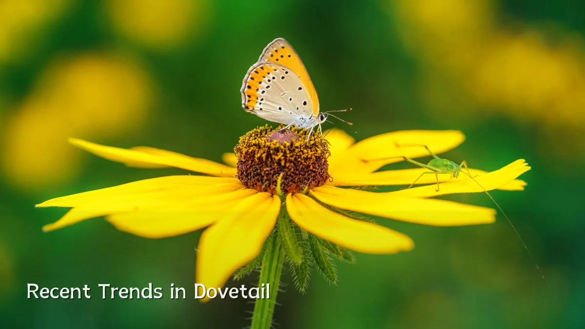 Recent Trends in Dovetail