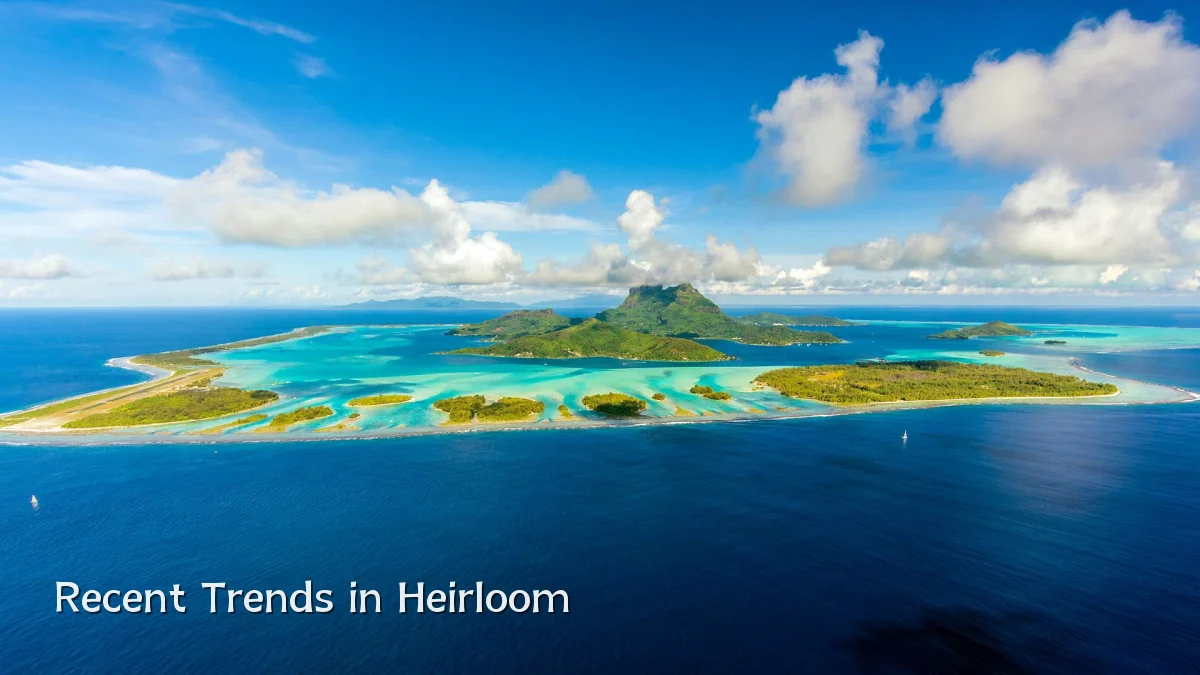 Recent Trends in Heirloom