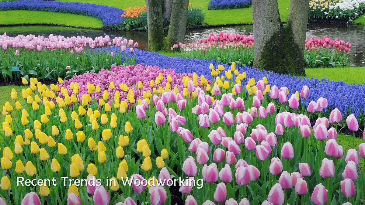 Recent Trends in Woodworking