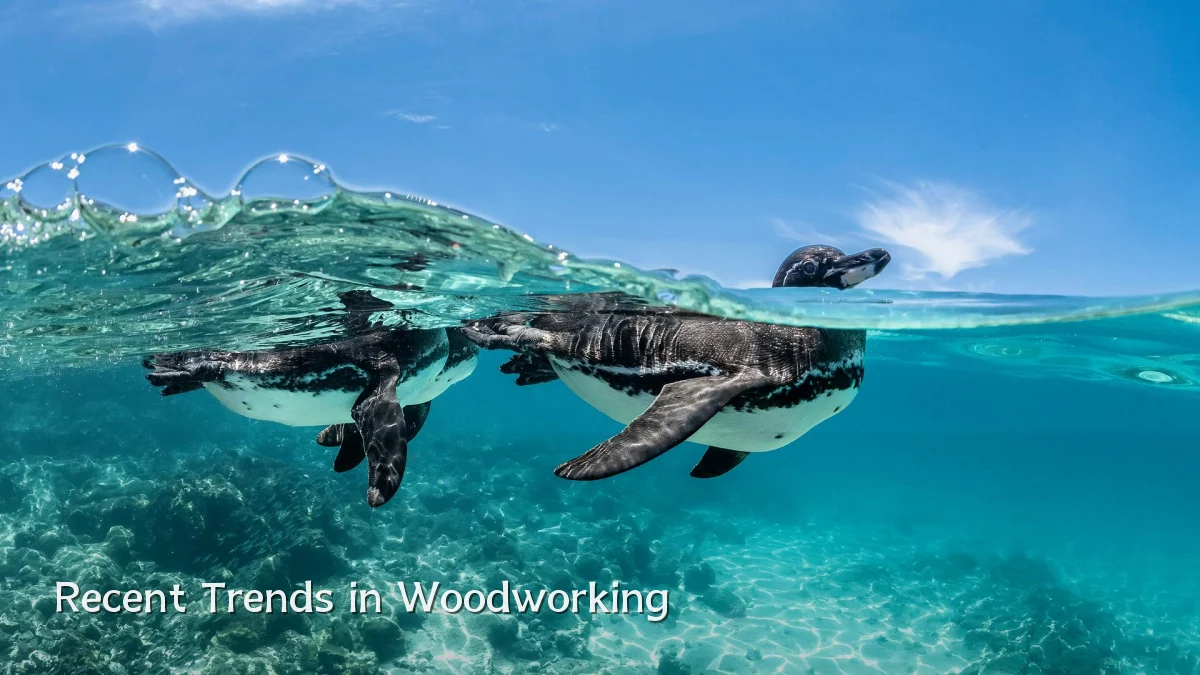 Recent Trends in Woodworking
