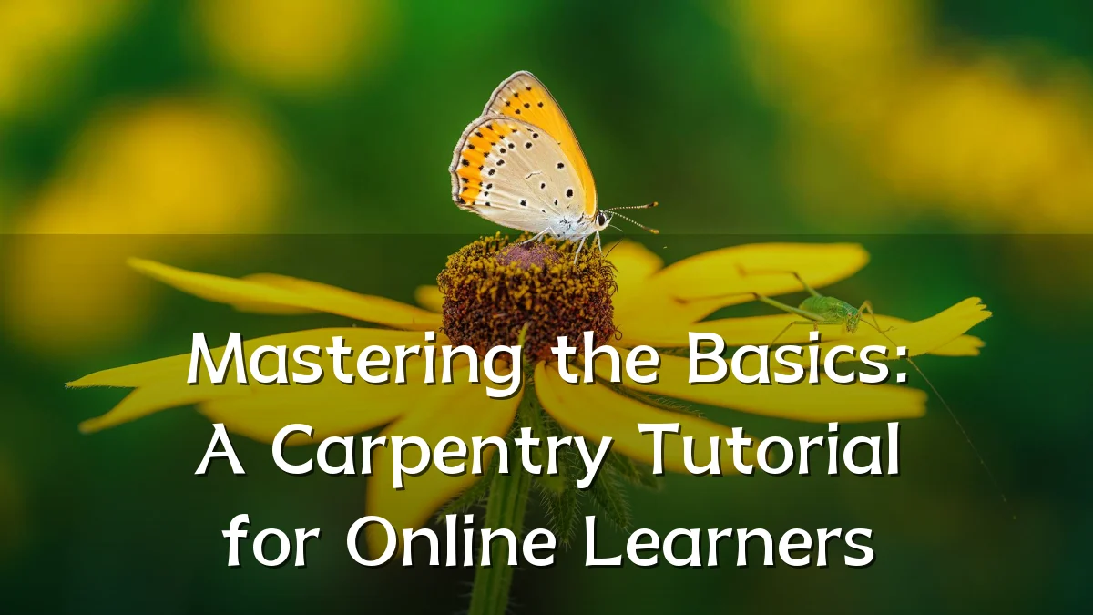 Mastering the Basics: A Carpentry Tutorial for Online Learners