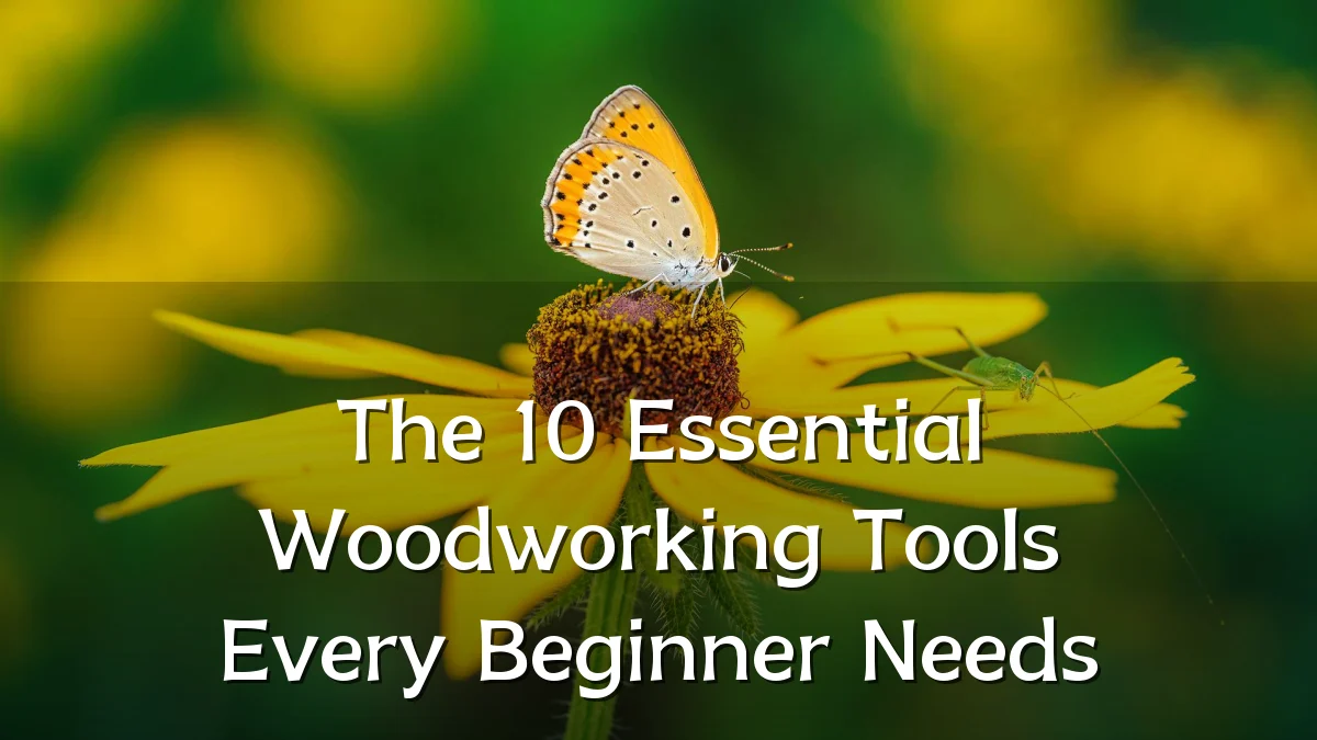 The 10 Essential Woodworking Tools Every Beginner Needs