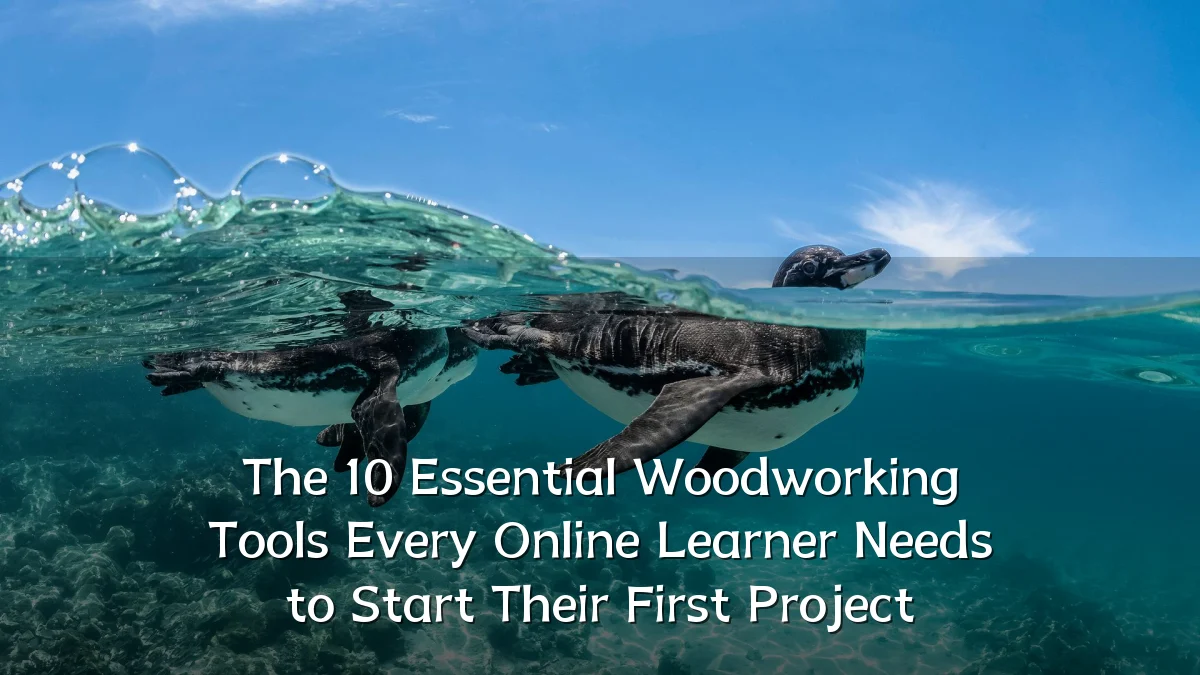 The 10 Essential Woodworking Tools Every Online Learner Needs to Start Their First Project