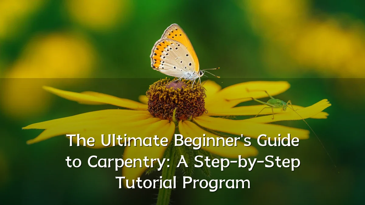 The Ultimate Beginner's Guide to Carpentry: A Step-by-Step Tutorial Program