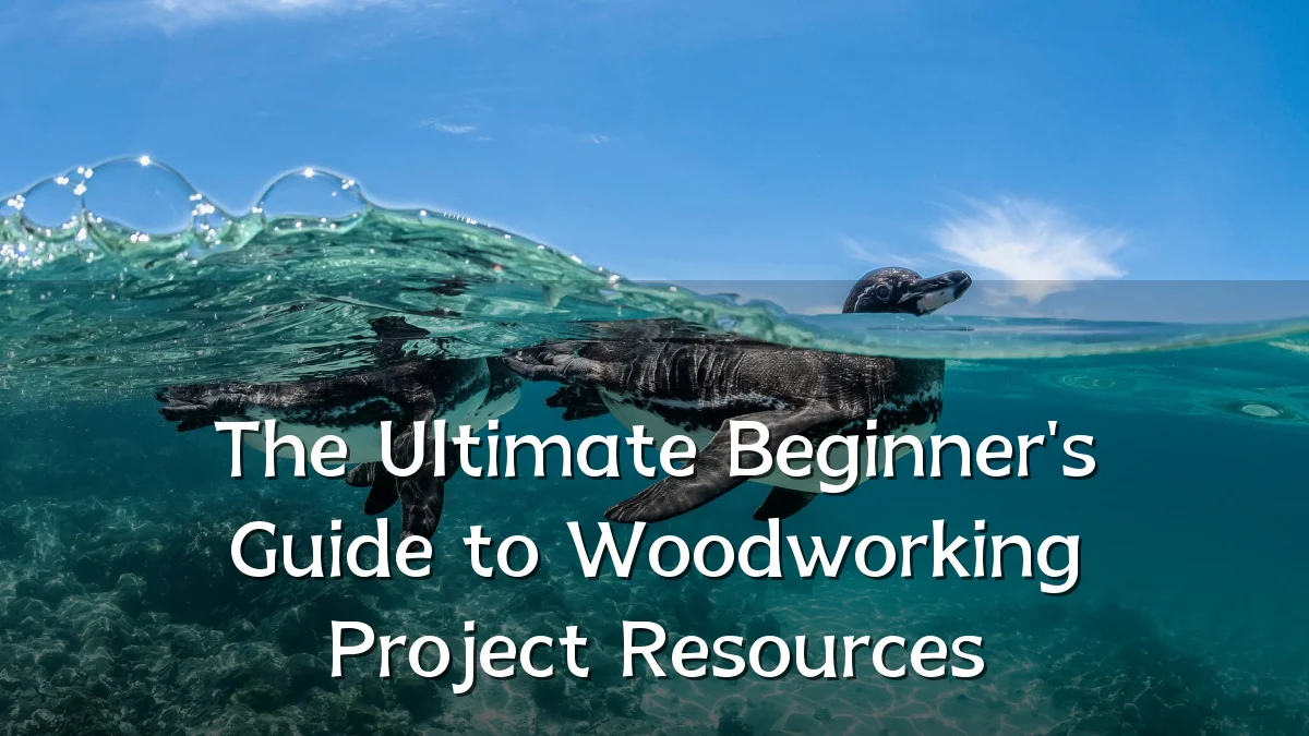 The Ultimate Beginner's Guide to Woodworking Project Resources