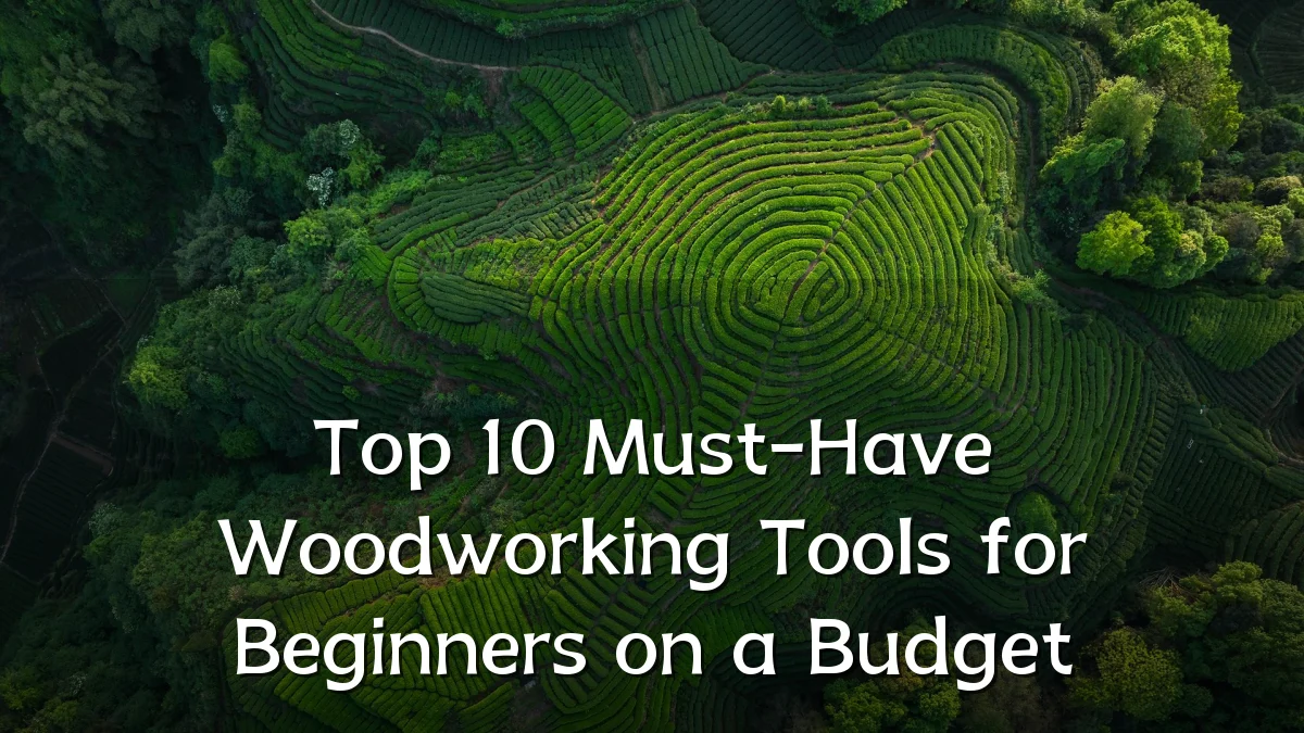Top 10 Must-Have Woodworking Tools for Beginners on a Budget