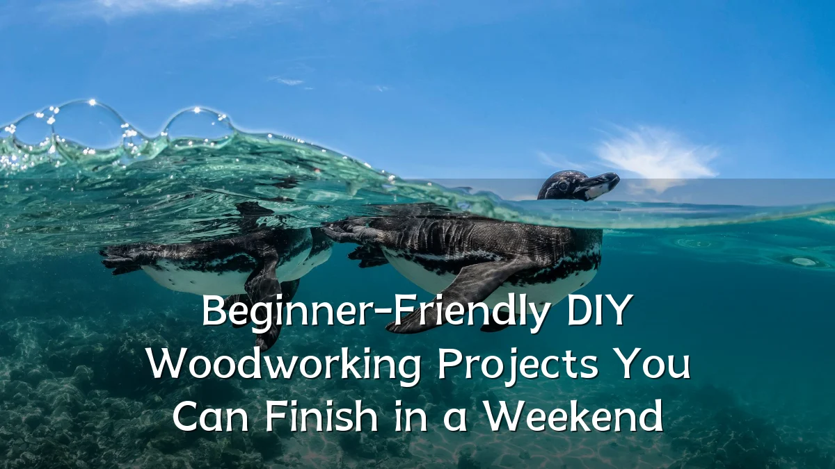 Beginner-Friendly DIY Woodworking Projects You Can Finish in a Weekend