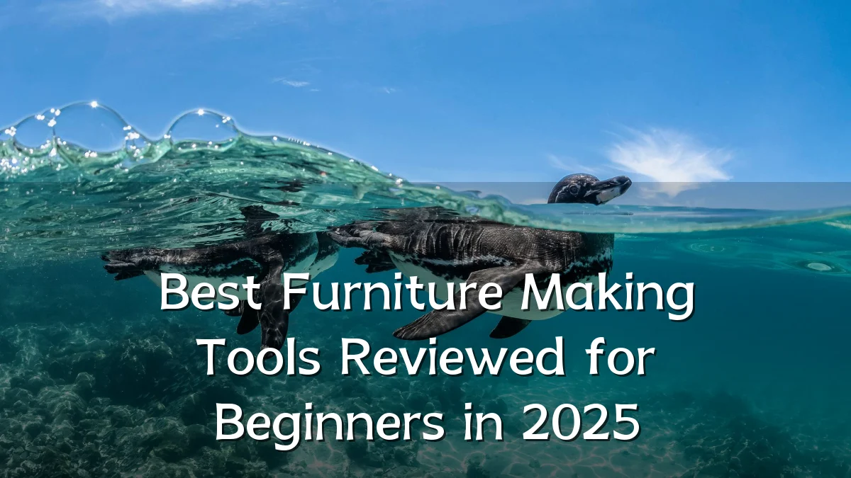 Best Furniture Making Tools Reviewed for Beginners in 2025