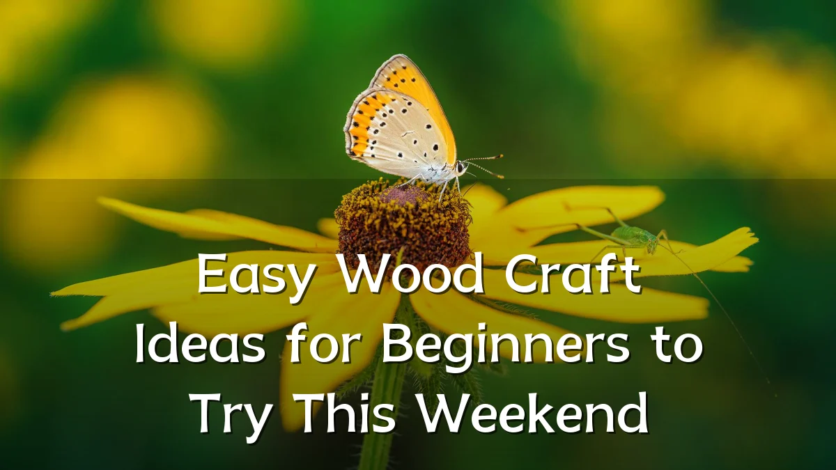 Easy Wood Craft Ideas for Beginners to Try This Weekend
