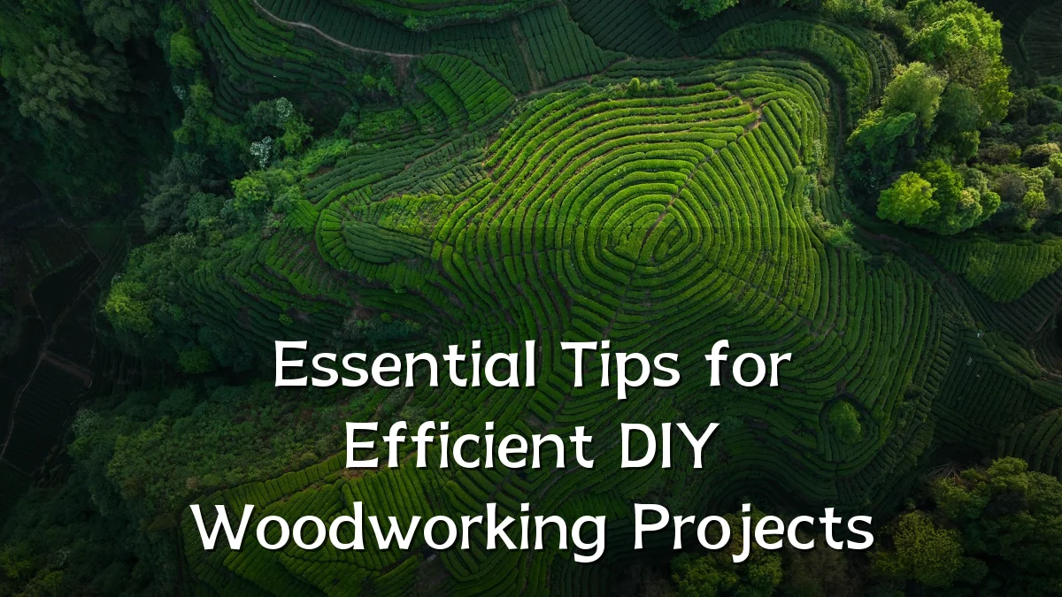 Essential Tips for Efficient DIY Woodworking Projects