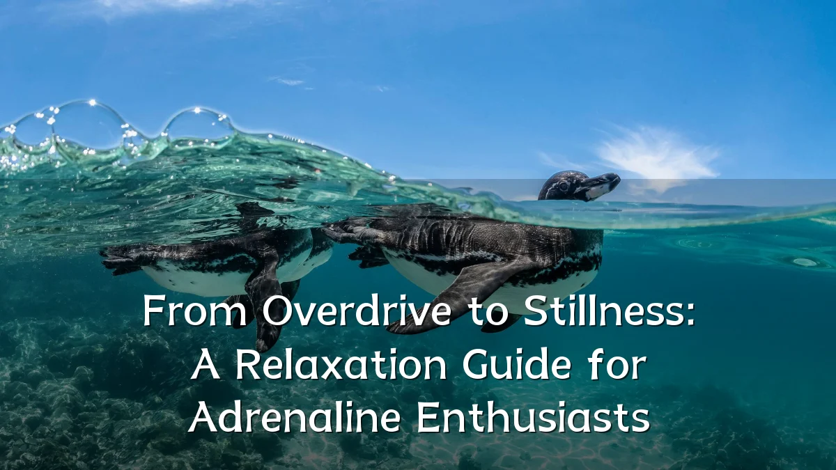 From Overdrive to Stillness: A Relaxation Guide for Adrenaline Enthusiasts