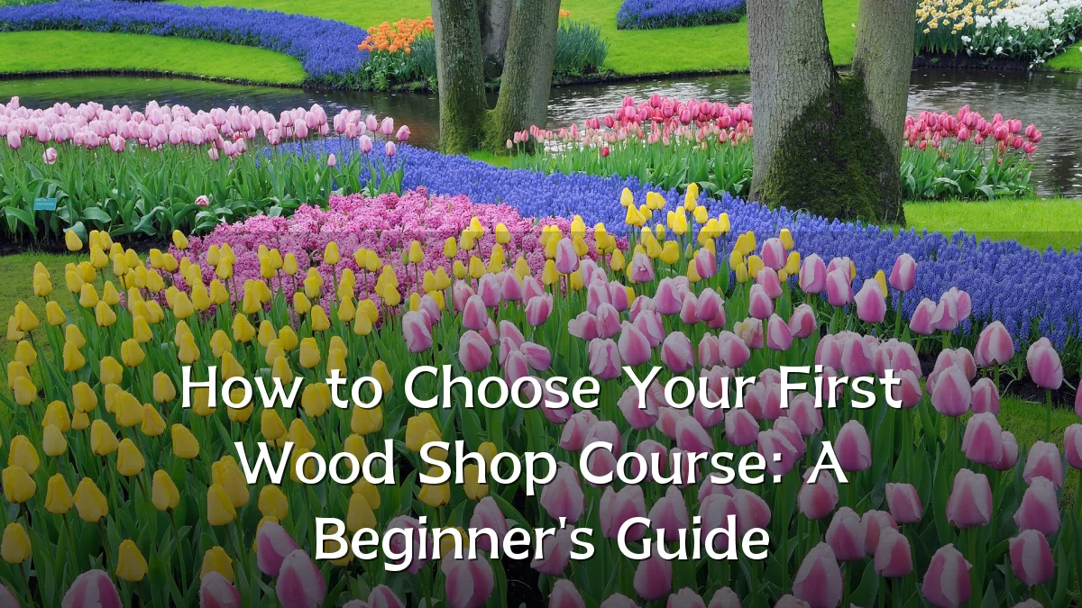 How to Choose Your First Wood Shop Course: A Beginner's Guide