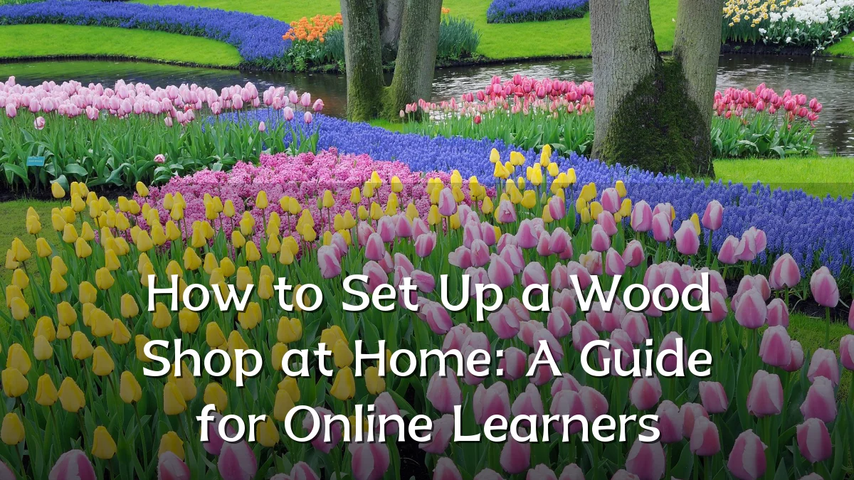 How to Set Up a Wood Shop at Home: A Guide for Online Learners