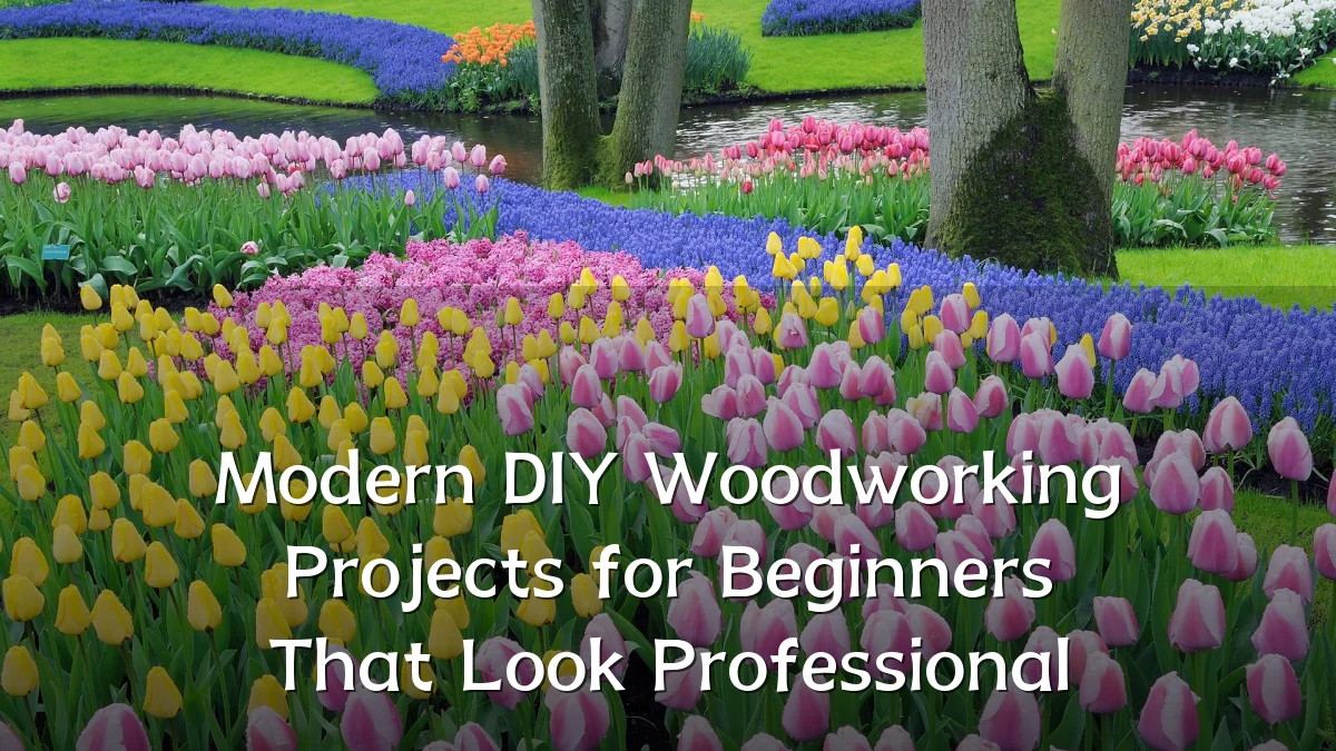 Modern DIY Woodworking Projects for Beginners That Look Professional