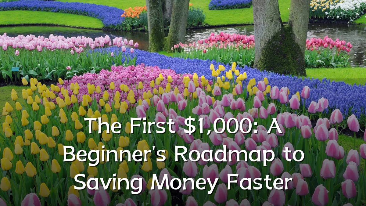 The First $1,000: A Beginner's Roadmap to Saving Money Faster