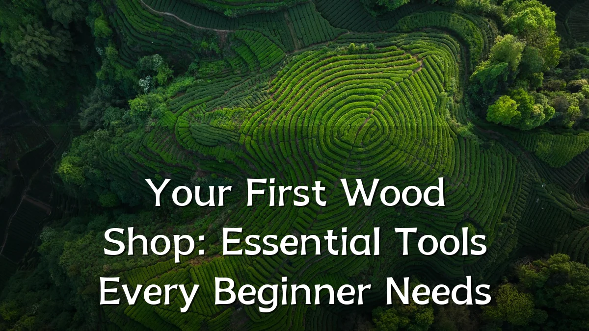 Your First Wood Shop: Essential Tools Every Beginner Needs