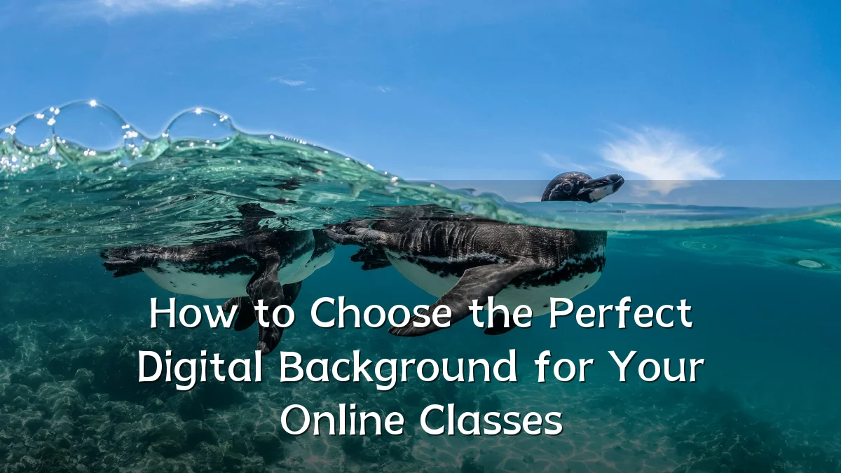 How to Choose the Perfect Digital Background for Your Online Classes