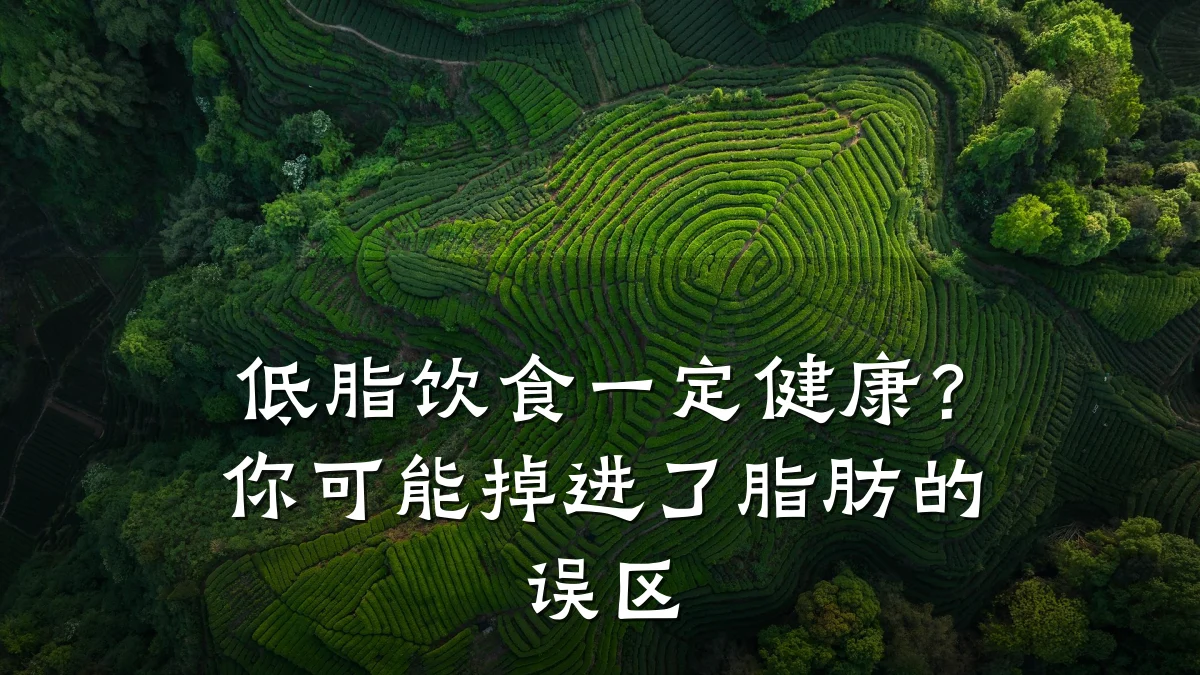 低脂饮食一定健康?你可能掉进了脂肪的误区