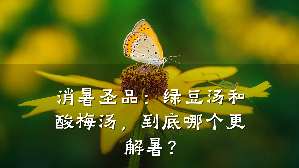 消暑圣品：绿豆汤和酸梅汤，到底哪个更解暑？