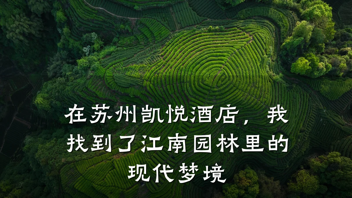 在苏州凯悦酒店,我找到了江南园林里的现代梦境