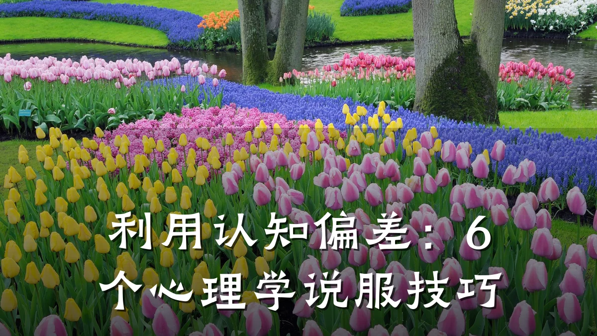 利用认知偏差:6个心理学说服技巧
