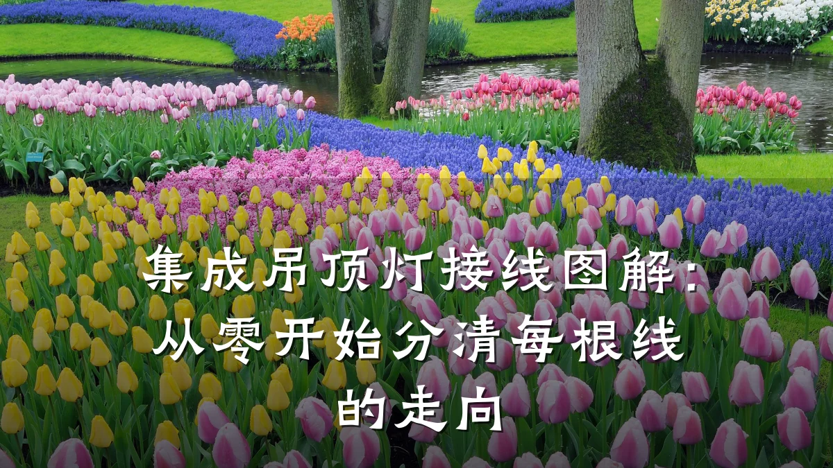 集成吊顶灯接线图解:从零开始分清每根线的走向