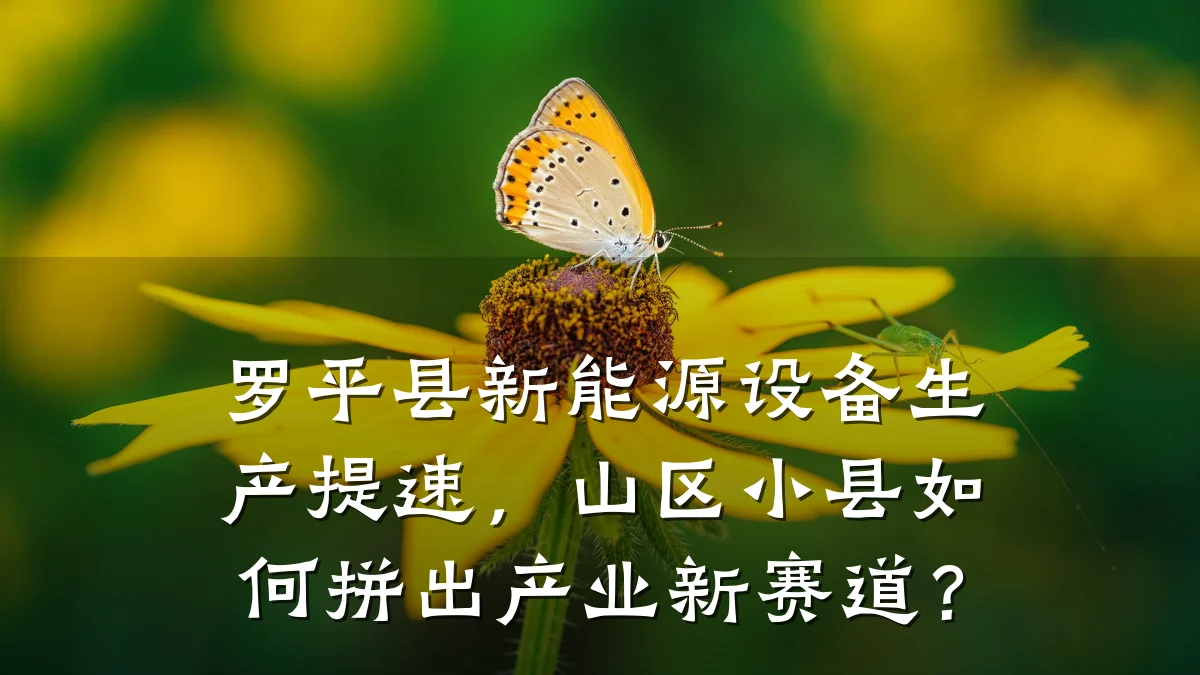 罗平县新能源设备生产提速，山区小县如何拼出产业新赛道？